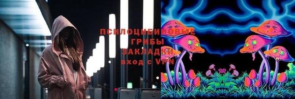 дживик Армянск