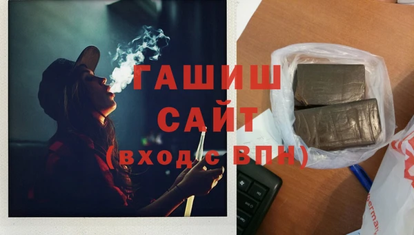 стаф Арсеньев