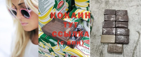 стаф Арсеньев