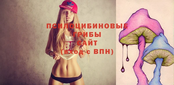 стаф Арсеньев